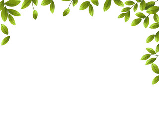 小清新春天树叶叶子元素绿叶边框PNG素材